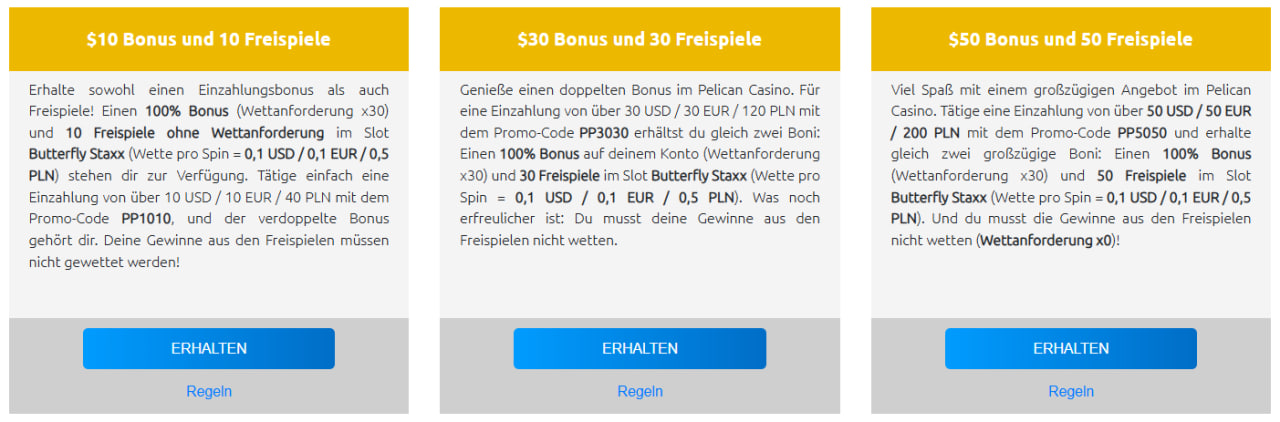 Zahlungsinfrastruktur deutscher Markt